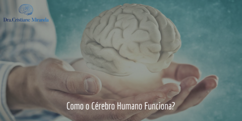 funcionamento-cerebro-humano